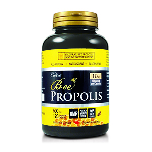 CODECO NUTRITION BEE PROPOLIS 500mgx120 capsule