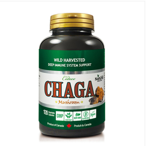 CODECO NUTRITION CHAGA 500mgx120 capsule